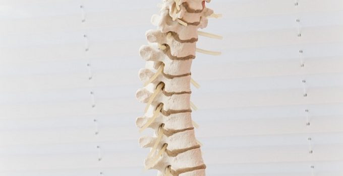 What is a Spinal Subluxation